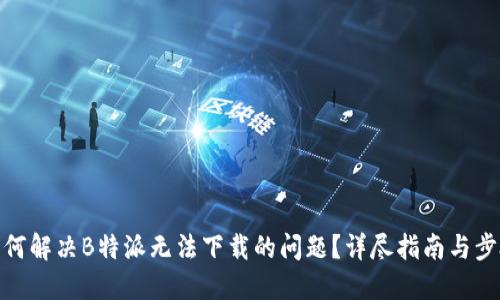 如何解决B特派无法下载的问题?详尽指南与步骤