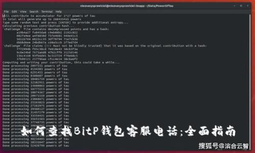 如何查找BitP钱包客服电话:全面指南