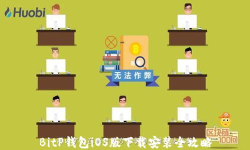 BitP钱包iOS版下载安装全攻略