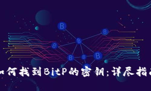 如何找到BitP的密钥:详尽指南