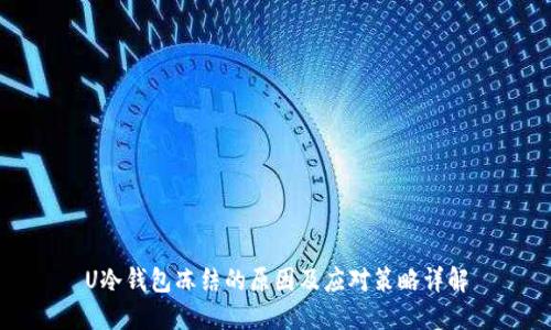 U冷钱包冻结的原因及应对策略详解
