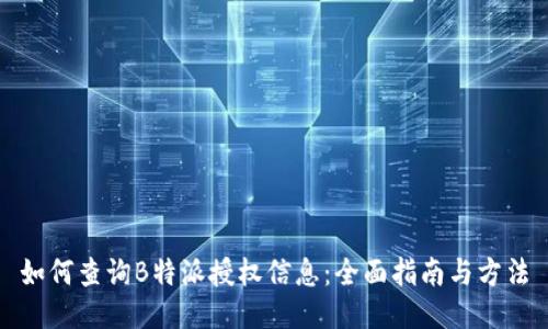 如何查询B特派授权信息:全面指南与方法