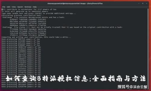 如何查询B特派授权信息:全面指南与方法