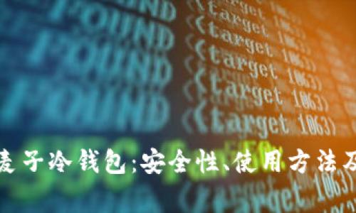 全面解析麦子冷钱包:安全性、使用方法及常见问题