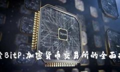 探索BitP：加密货币交易所