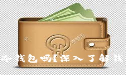 TokenPocket是冷钱包吗?深入了解钱包类型与安全性