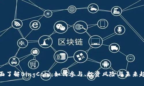 全面了解BingCoin：如何参与、投资风险与未来趋势