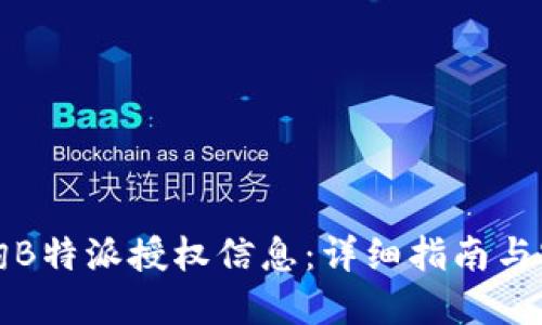 如何查询B特派授权信息:详细指南与实用技巧