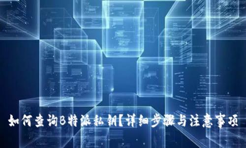 如何查询B特派私钥?详细步骤与注意事项