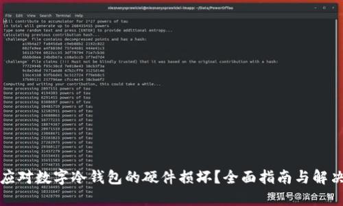 如何应对数字冷钱包的硬件损坏?全面指南与解决方案