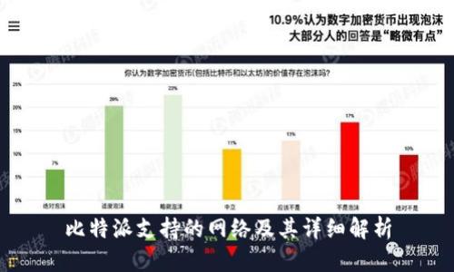 比特派支持的网络及其详细解析