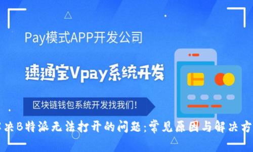 解决B特派无法打开的问题:常见原因与解决方法