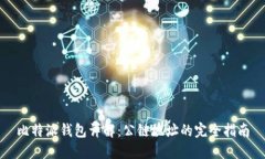 比特派钱包详解：公链地