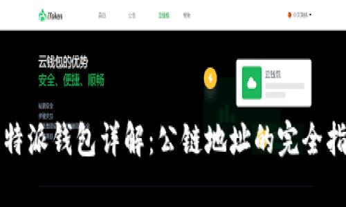 比特派钱包详解:公链地址的完全指南