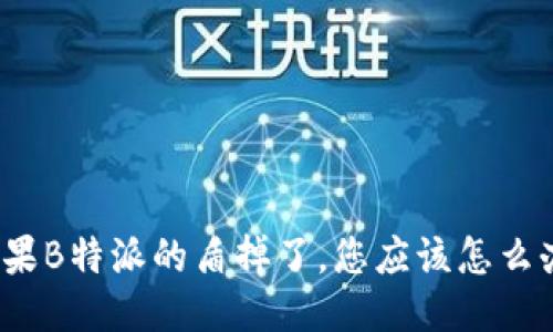 如果B特派的盾掉了,您应该怎么办?