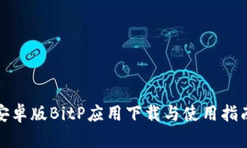 安卓版BitP应用下载与使用指南