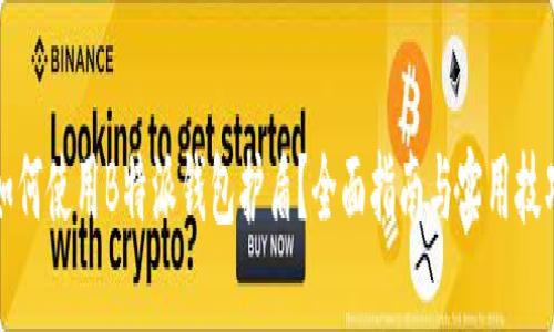 如何使用B特派钱包护盾?全面指南与实用技巧