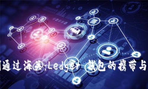 如何顺利通过海关:Ledger 钱包的携带与入境指南
