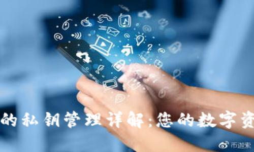 比特派钱包的私钥管理详解:您的数字资产安全保障