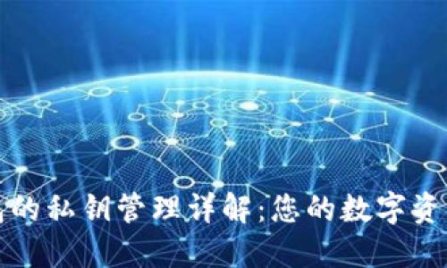 比特派钱包的私钥管理详解:您的数字资产安全保障