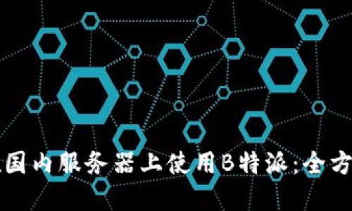 如何在国内服务器上使用B特派:全方位指南