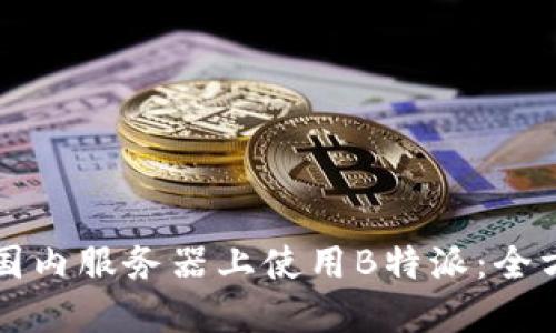 如何在国内服务器上使用B特派:全方位指南