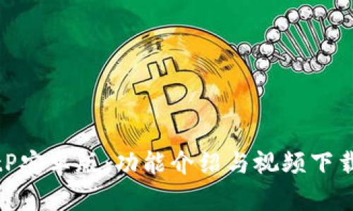 探索BitP安卓版:功能介绍与视频下载全攻略