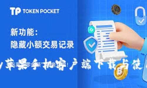 OKpay苹果手机客户端下载与使用指南