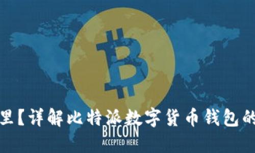 比特派密钥在哪里?详解比特派数字货币钱包的使用和安全措施