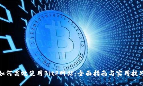如何高效使用BitP网站:全面指南与实用技巧