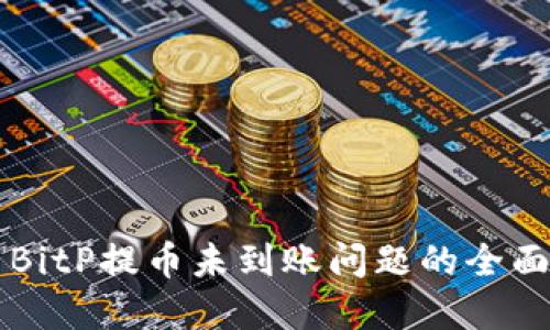解决BitP提币未到账问题的全面指南
