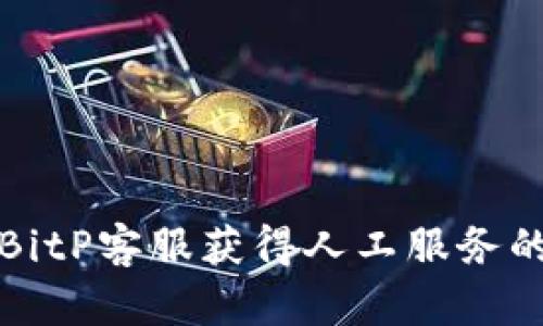 如何联系BitP客服获得人工服务的全面指南