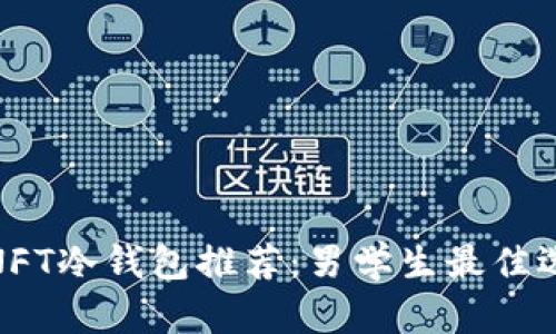 : NFT冷钱包推荐：男学生最佳选择