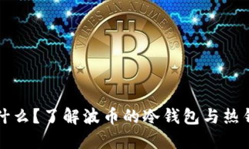 波币是什么?了解波币的冷钱包与热钱包区别