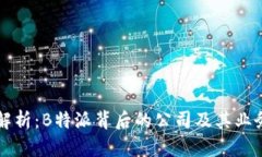 深度解析：B特派背后的公