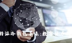 深入探索b特派冷钱包手表