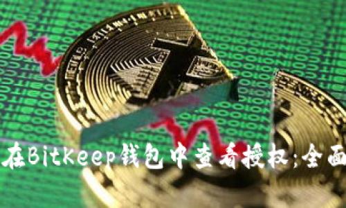 如何在BitKeep钱包中查看授权:全面指南