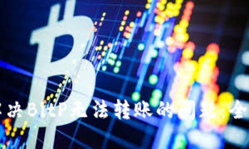 如何解决BitP无法转账的问题:全面指南