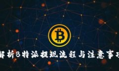 解析B特派提现流程与注意