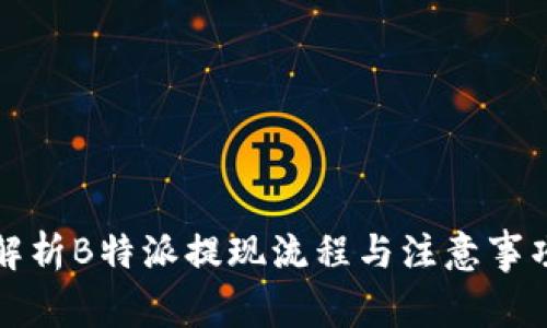解析B特派提现流程与注意事项