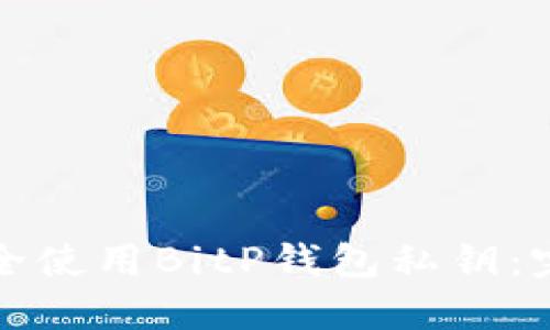 如何安全使用BitP钱包私钥:完整指南