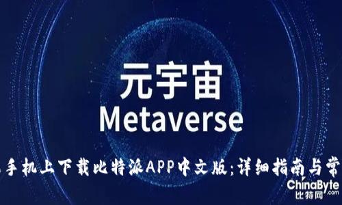如何在苹果手机上下载比特派APP中文版：详细指南与常见问题解答