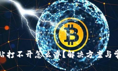 : 比特派网站打不开怎么办？解决方案与常见问题解析
