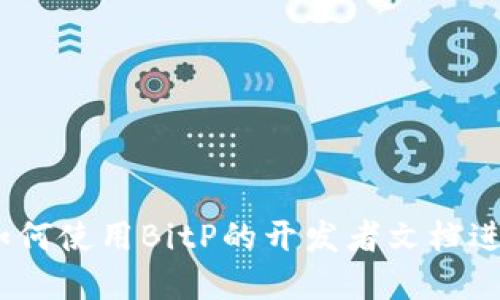 完整指南:如何使用BitP的开发者文档进行高效研发