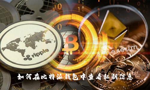 如何在比特派钱包中查看私钥信息