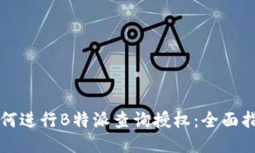 如何进行B特派查询授权:全面指南