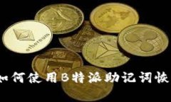 全面解析：如何使用B特派