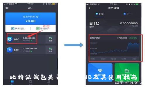 比特派钱包是否支持BNB及其使用指南