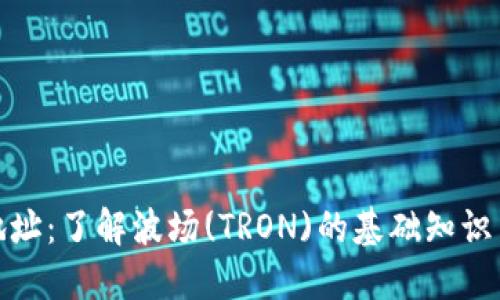 波场持币地址：了解波场(TRON)的基础知识与交易安全