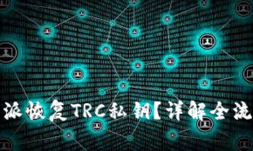 如何通过比特派恢复TRC私钥?详解全流程与注意事项